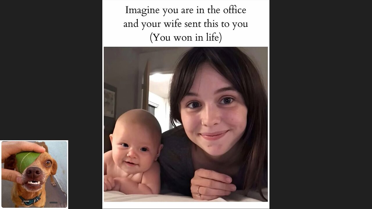 Memes That Will 99.0244% Make You Laugh. (e468)