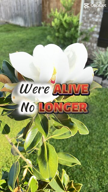 Death and Loss is Change Maker