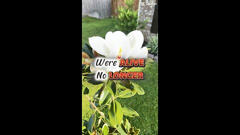 Death and Loss is Change Maker