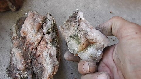 The original forest on flat earth part 17, 1 of 3