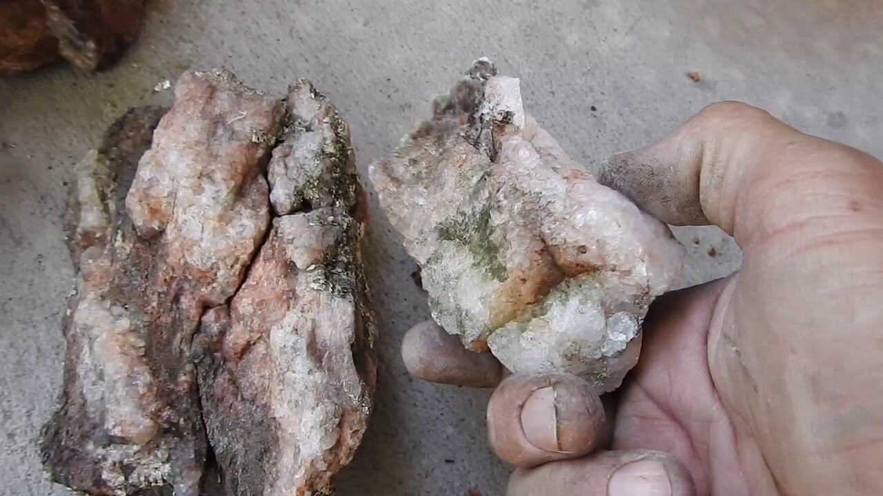 The original forest on flat earth part 17, 1 of 3