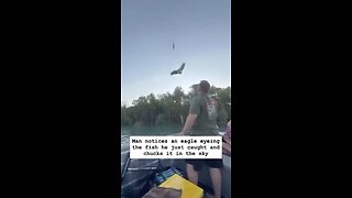 The amazing thing about this video is not the man’s throw or the bird’s catch