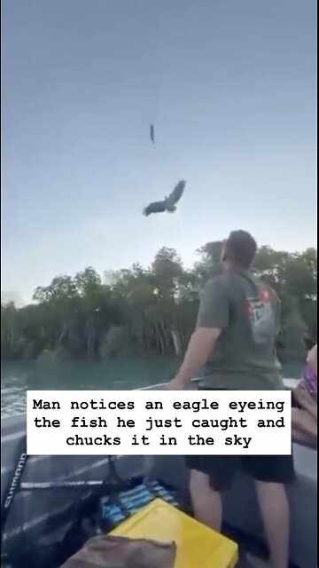 The amazing thing about this video is not the man’s throw or the bird’s catch