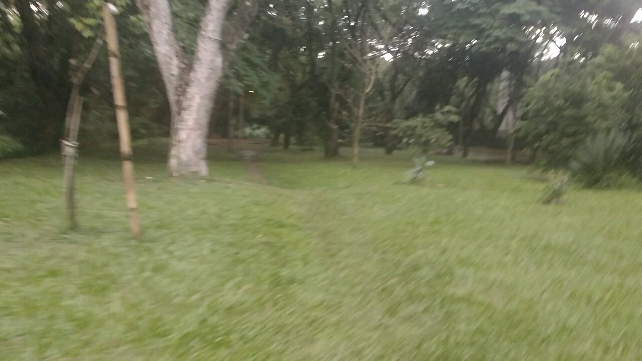 Explore with Mayia! 🐕💚 | A German Shepherd Adventure Walk