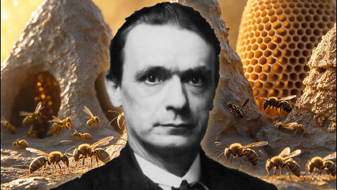 Save The Bees Save Ourselves Part Three