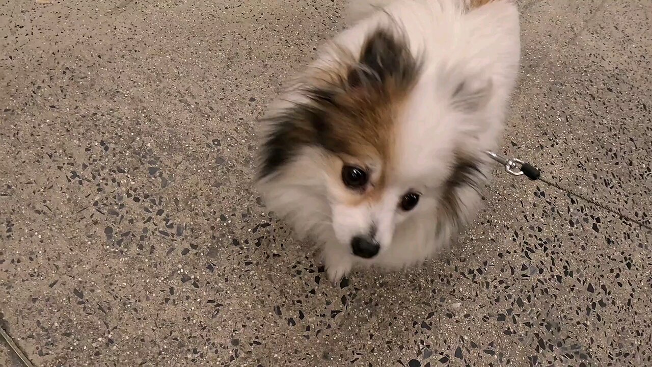 A cutie