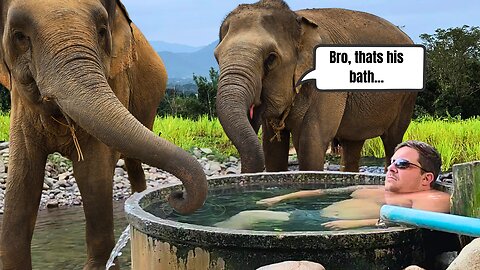 Pai Thailand: Hippies, Chaos & Elephants | The Wild Road to Peace