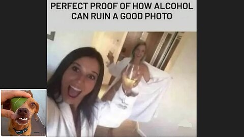 Memes That Will 99.0409% Make You Laugh. (e633)
