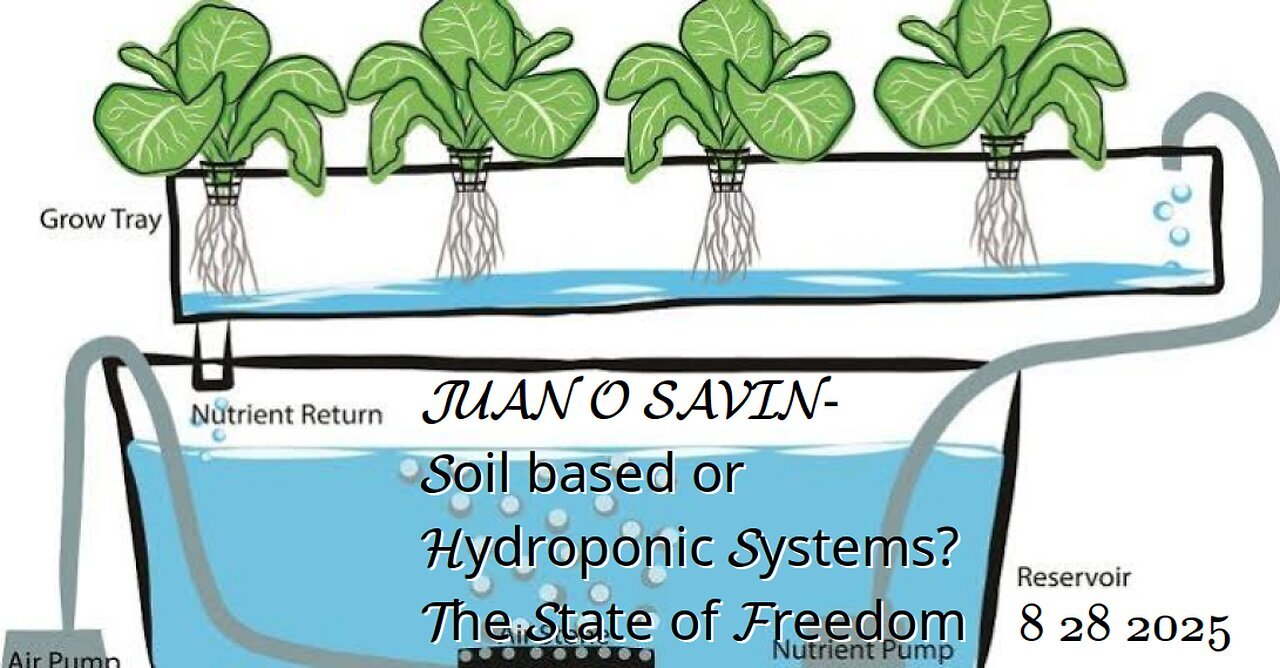 JUAN O SAVIN - Soil based or Hydroponic Systems - The State of Freedom 8-28-2025