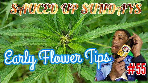 Sauced Up Sundays: Early Flowering Tips