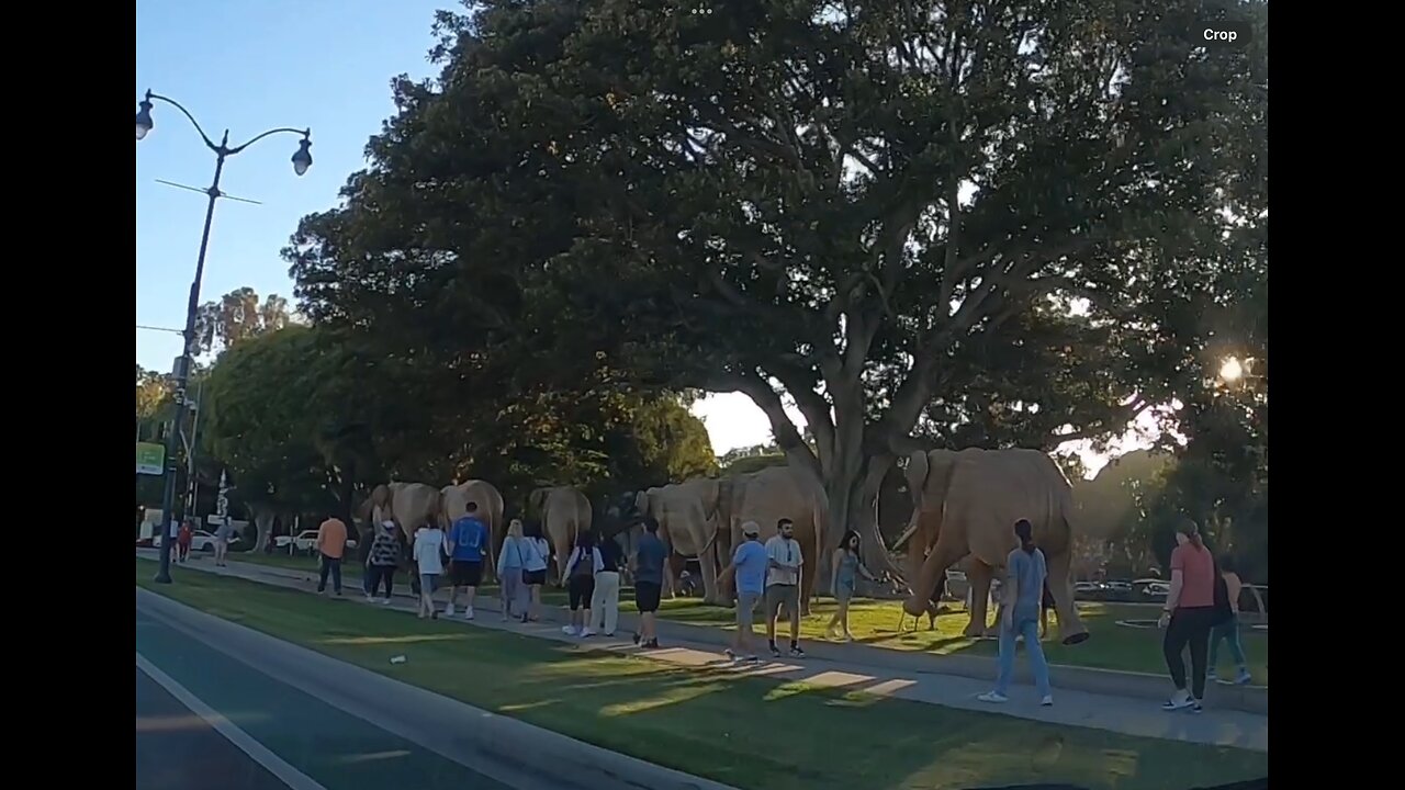 Beverly Hills 7/5/25 100 elephants display traveling the world made in India.