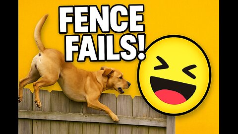 How Animals Get Over a Fence 😂 | Funny Animal Moments with Emojis 🐶🐱🐴