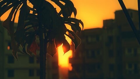 CINEMATIC SHORT FILM/ GOLDEN HOUR
