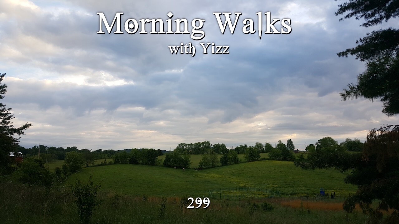 Morning Walks with Yizz 299 - The Viral N Word