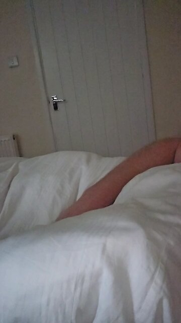 morning dag! someone tell him it a rest day