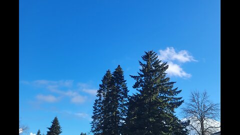 Salem, Oregon News & Weather