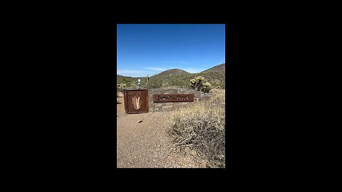Hiking Through the Saguaros