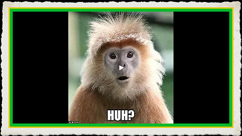 BLUETARD STATES IMPLEMENT TAXES ON GOLD SILVER