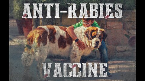 CDC Ph HH (040525) - Anti-Rabies Vaccine sa Bata? Ligtas nga ba?