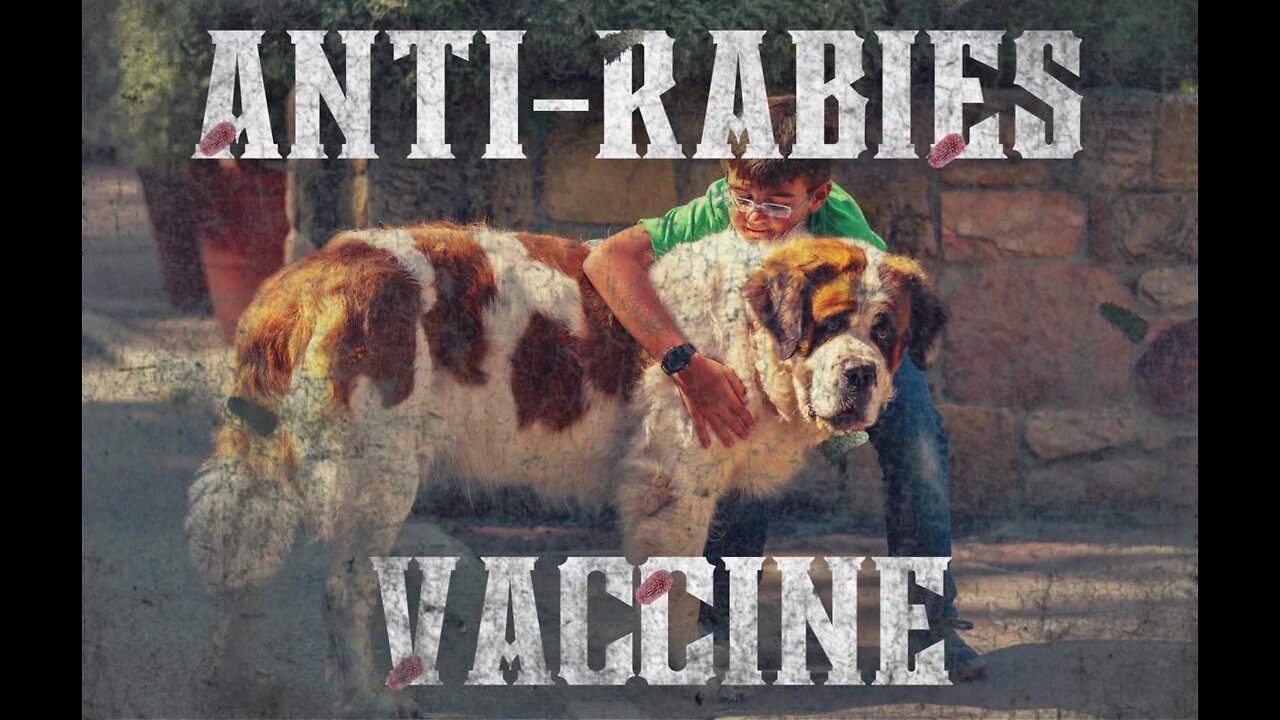 CDC Ph HH (040525) - Anti-Rabies Vaccine sa Bata? Ligtas nga ba?