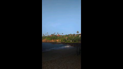 surf