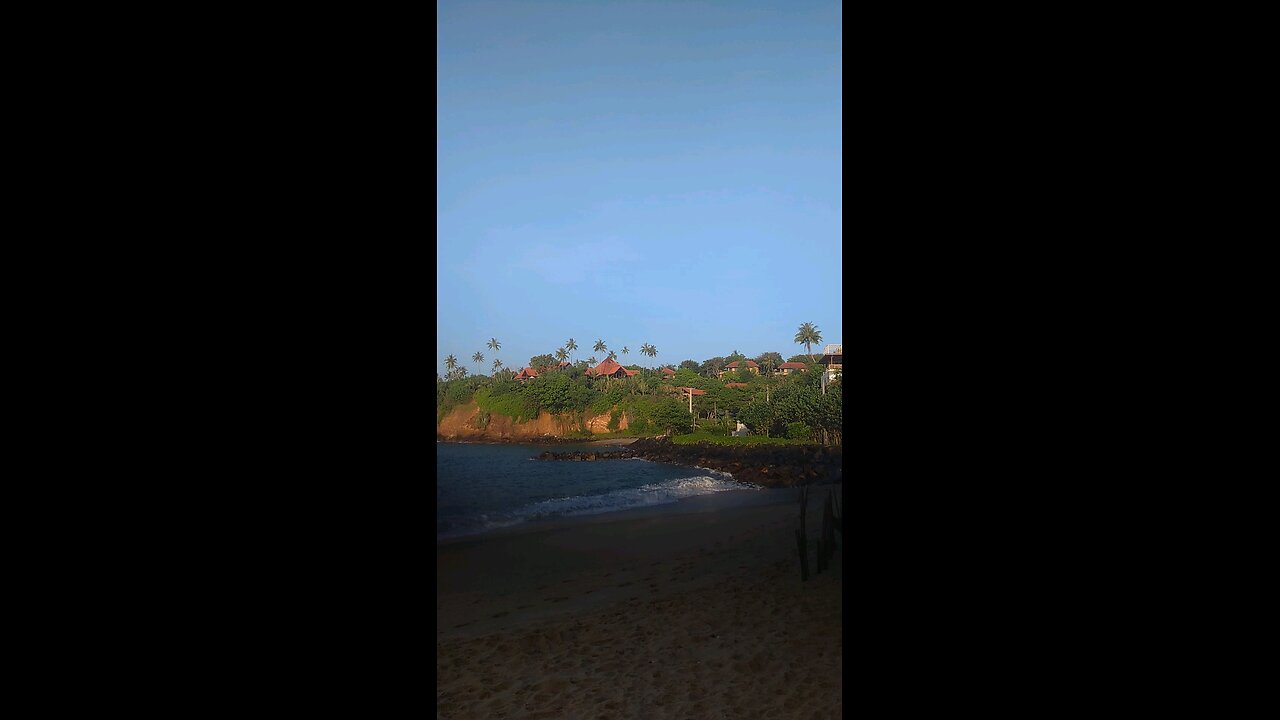 surf
