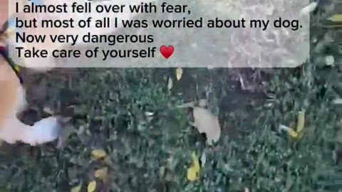 🛸🐶 Ukraine Russia War | Kherson Drone Overflight | RCF