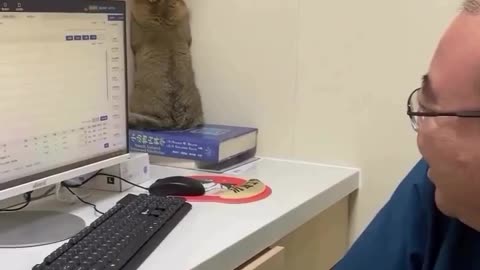 😹🐱 Cat Logic: Feline Problem-Solving at its Finest! | FunFM