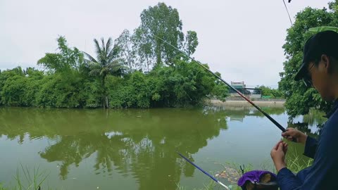 Carp Spin Fishing in Lake Shallow Waters