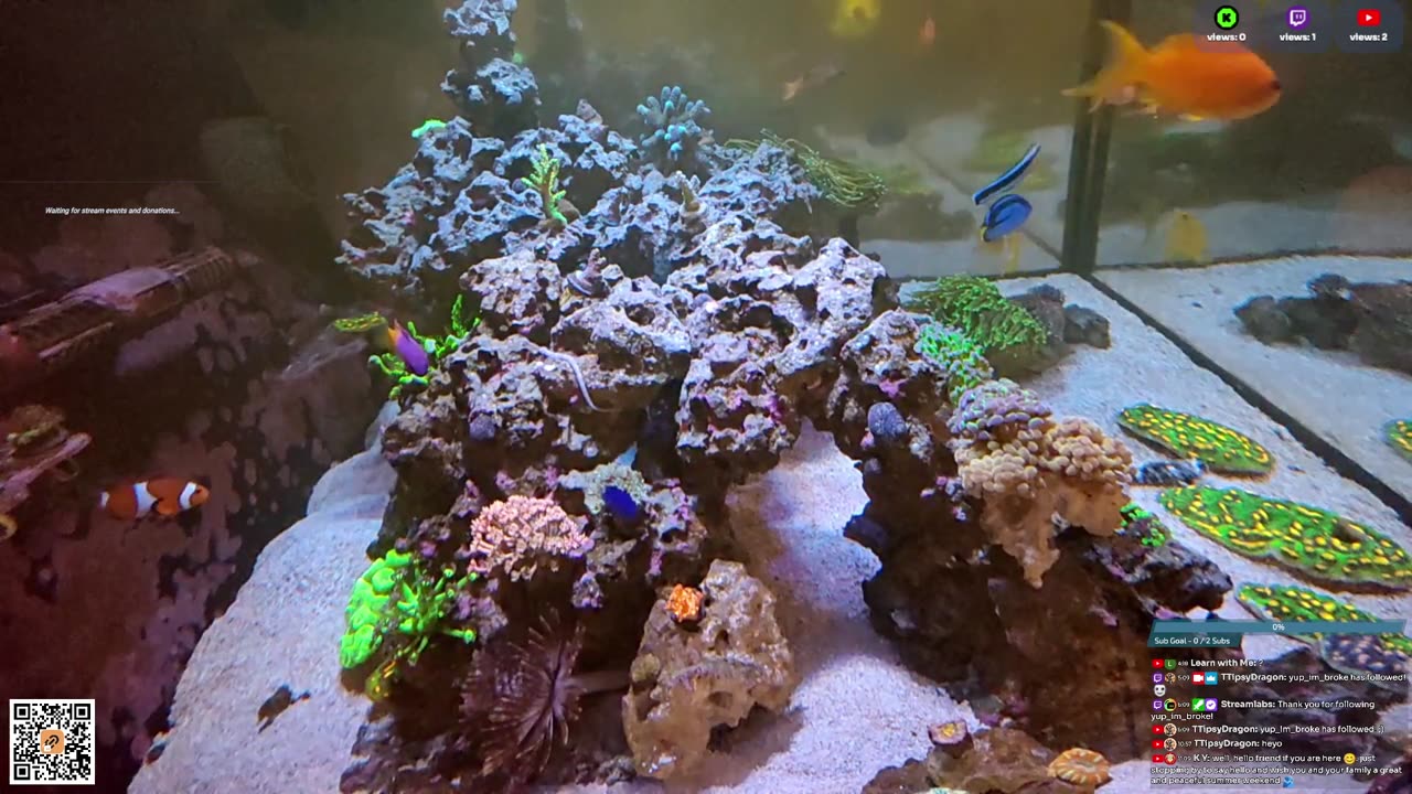 24/7 Real Live Reef Stream