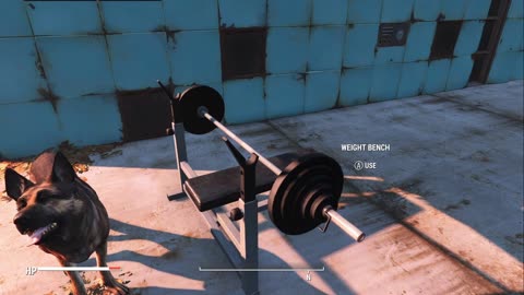 Fallout has a ghost