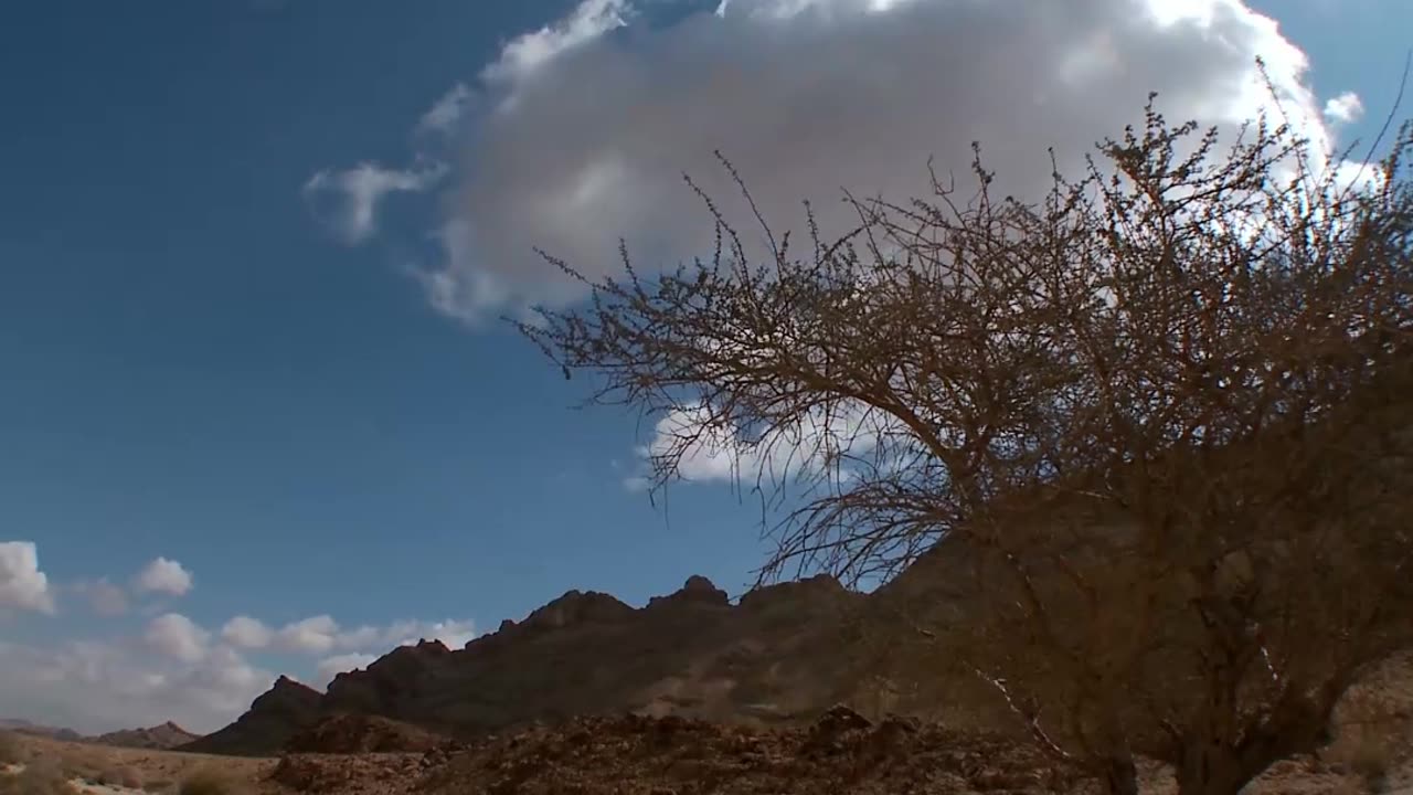 30 Detik untuk Menemukan Tujuan Tuhan (Peringatan Alkitab)