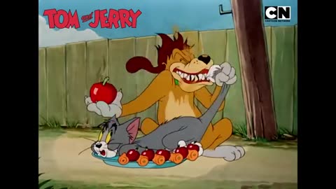 Tom and Jerry 😺🐭| A Frosty Chase! ❄️| Cat & The Mouse | Animated Cartoon