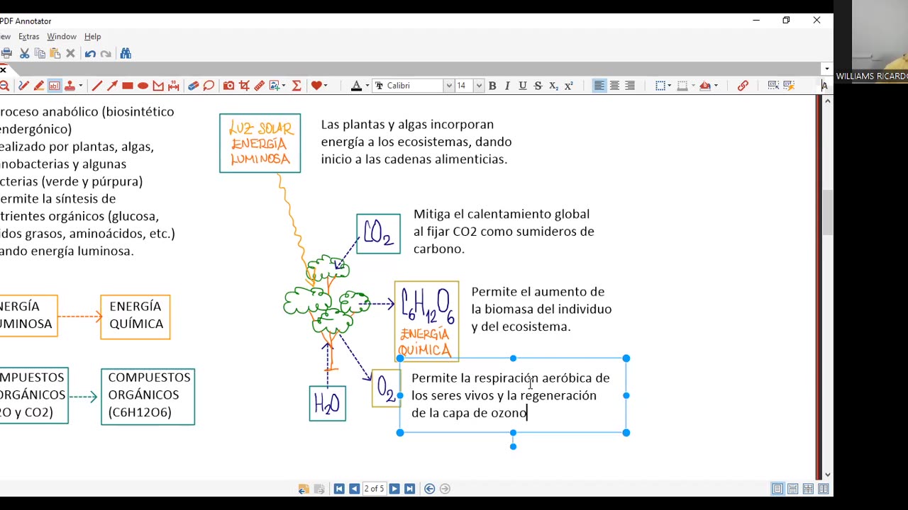 VONEX SEMESTRAL 2024 | Semana 06 | Biología