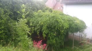 Cudowna pogoda i inne sprawy