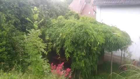 Cudowna pogoda i inne sprawy