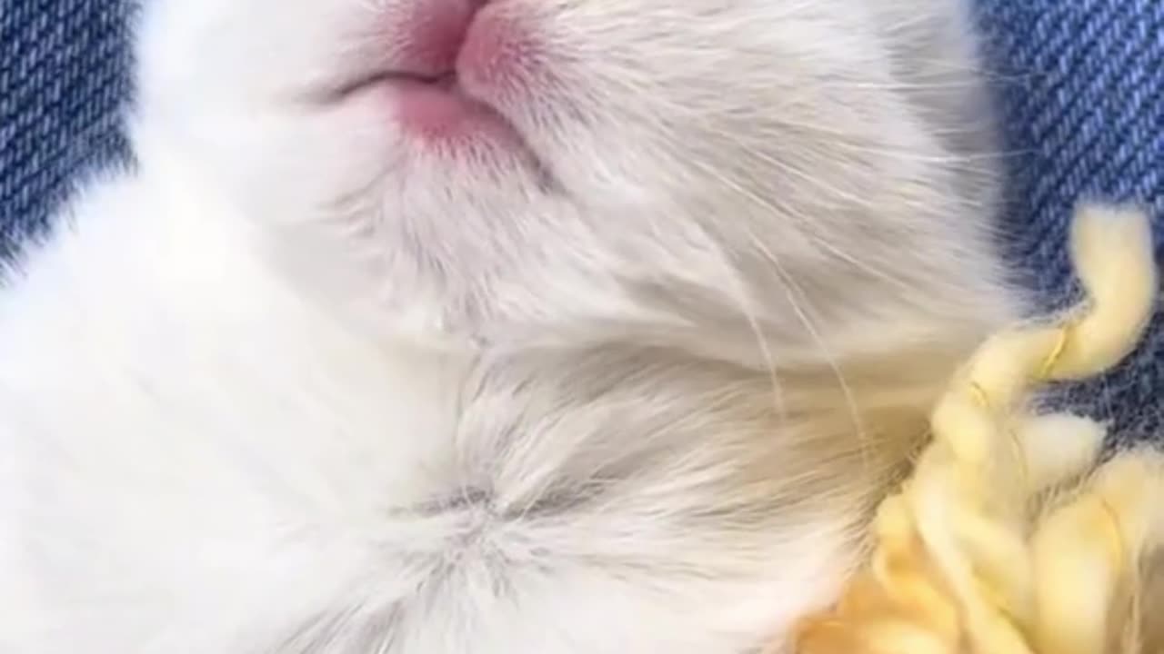 Cute Pretty Little Baby
