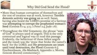 Why Did God Send a Global Flood