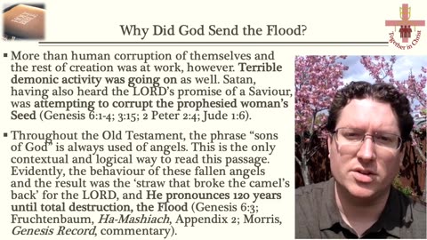 Why Did God Send a Global Flood