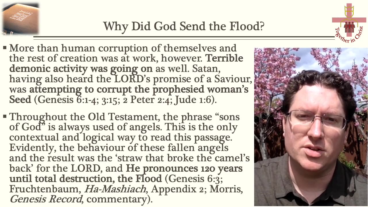 Why Did God Send a Global Flood