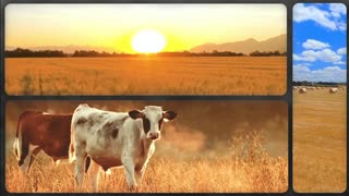 Trent Loos in the Morning 5/9/2025