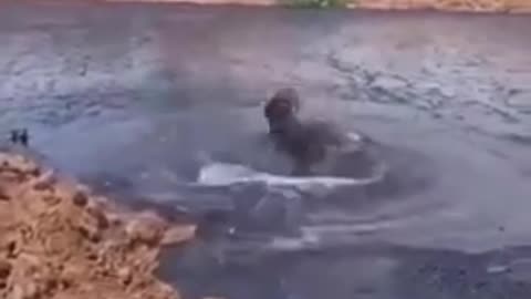 Come and listen to my story about a man named Jed...