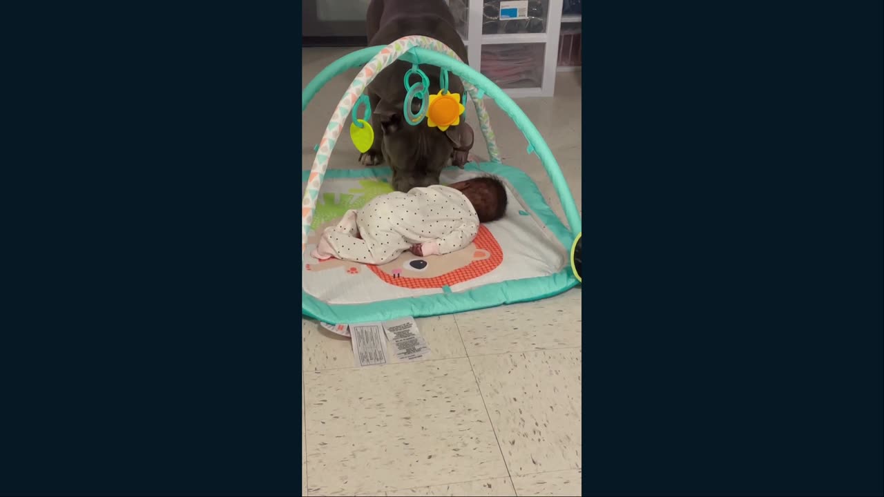 Meet Blue and his family