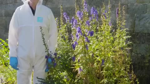 🤯✨ Discover the Hidden Danger in The Poison Garden! | FeedMyCuriosity