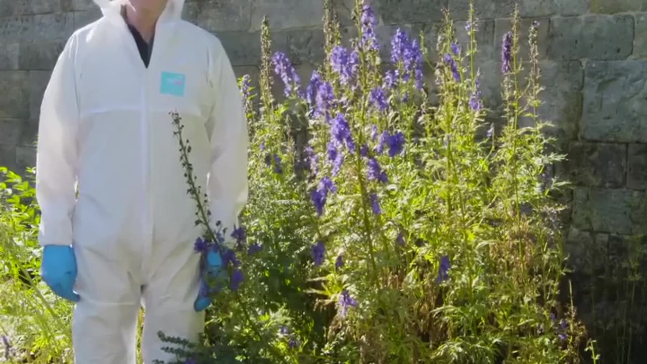 🤯✨ Discover the Hidden Danger in The Poison Garden! | FeedMyCuriosity