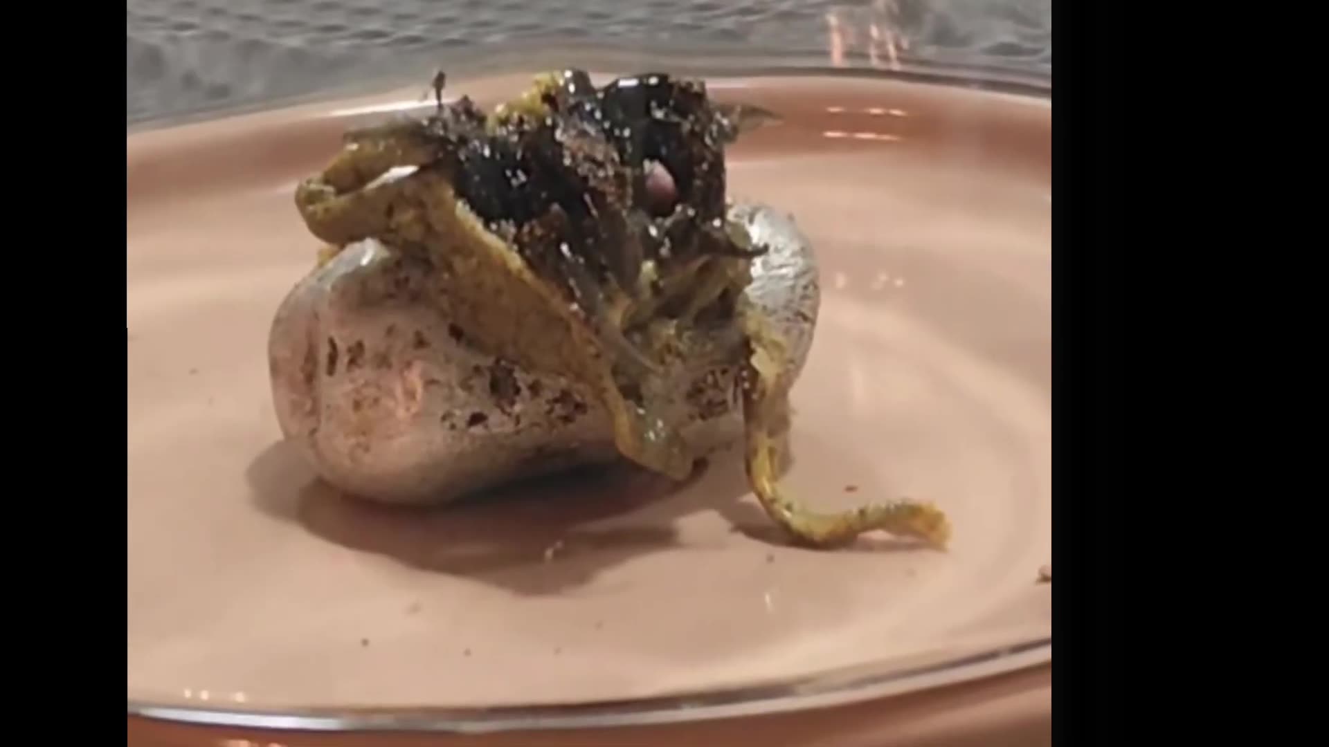 Alien Hatches From Meteorite Crash in Panama?! (September 2025)