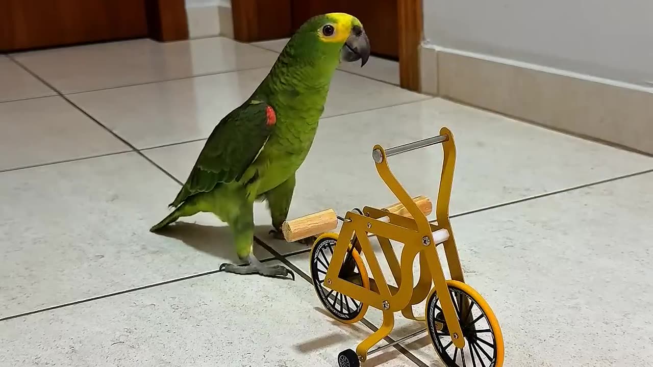 Fun and laughter
