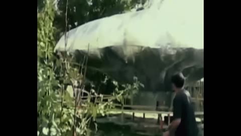 He released a giant balloon and called the police