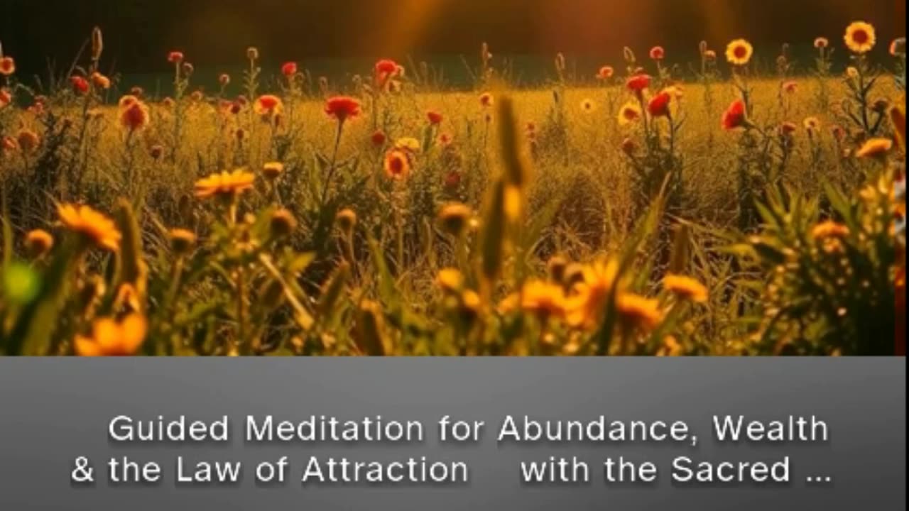 Guided Meditation for Abundance, Wealth & the Law of Attraction (short from patreon) #meditation 🕉🕉