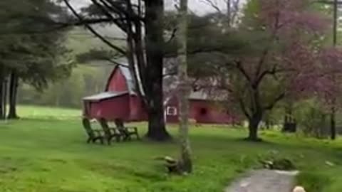 Doom Break: Rain Rain Go Away Come Again.... Out Here on The Perimeter - Fortiori